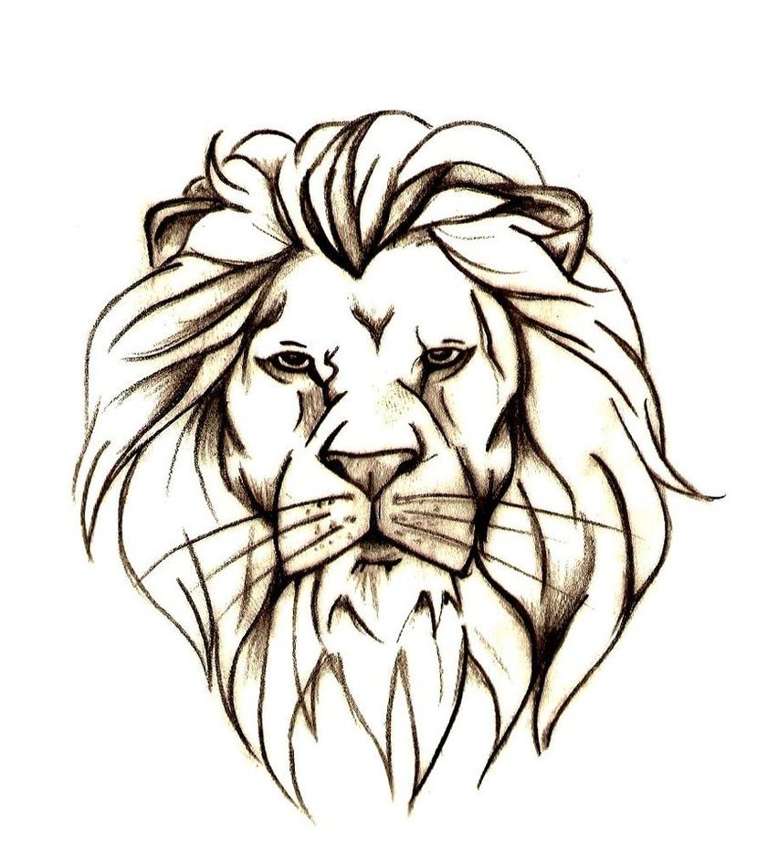 Lion Tattoo Drawing Picture | Drawing Skill