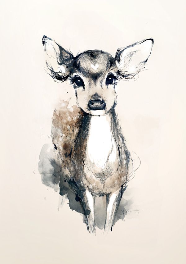 dead deer face drawing  Clip Art Library