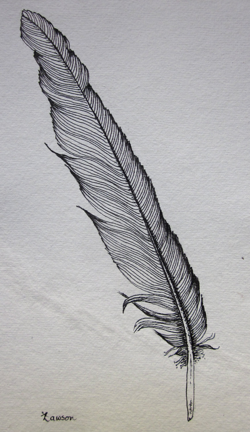 Easy Feather Drawing Tutorial  How to Draw a Feather Pencil Sketch Step by  Step Outline Art  YouTube