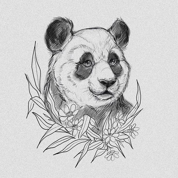Vector illustration panda on the bamboo Cute baby panda drawing Tattoo  sketch Stock Vector  Adobe Stock