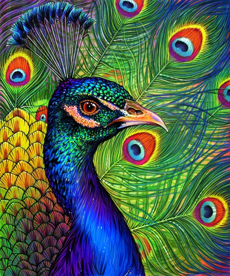 Peacock Feather Artwork By Charles Herbert Moore Oil Painting & Art Prints  On Canvas For Sale - PaintingStar.com Art Online Store