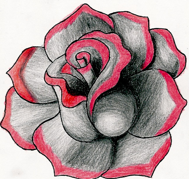 Red Rose - Drawing Skill