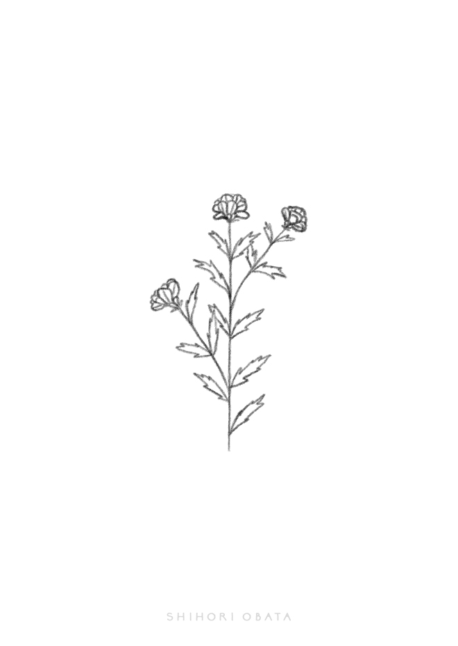 30 Easy Ways to Draw Plants  Leaves