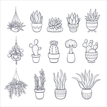 Premium Vector | Home plant in pots sketch. outline drawing isolated  illustration of growing flowers in a hanging plant for interior home or  office decoration. of garden flowers.