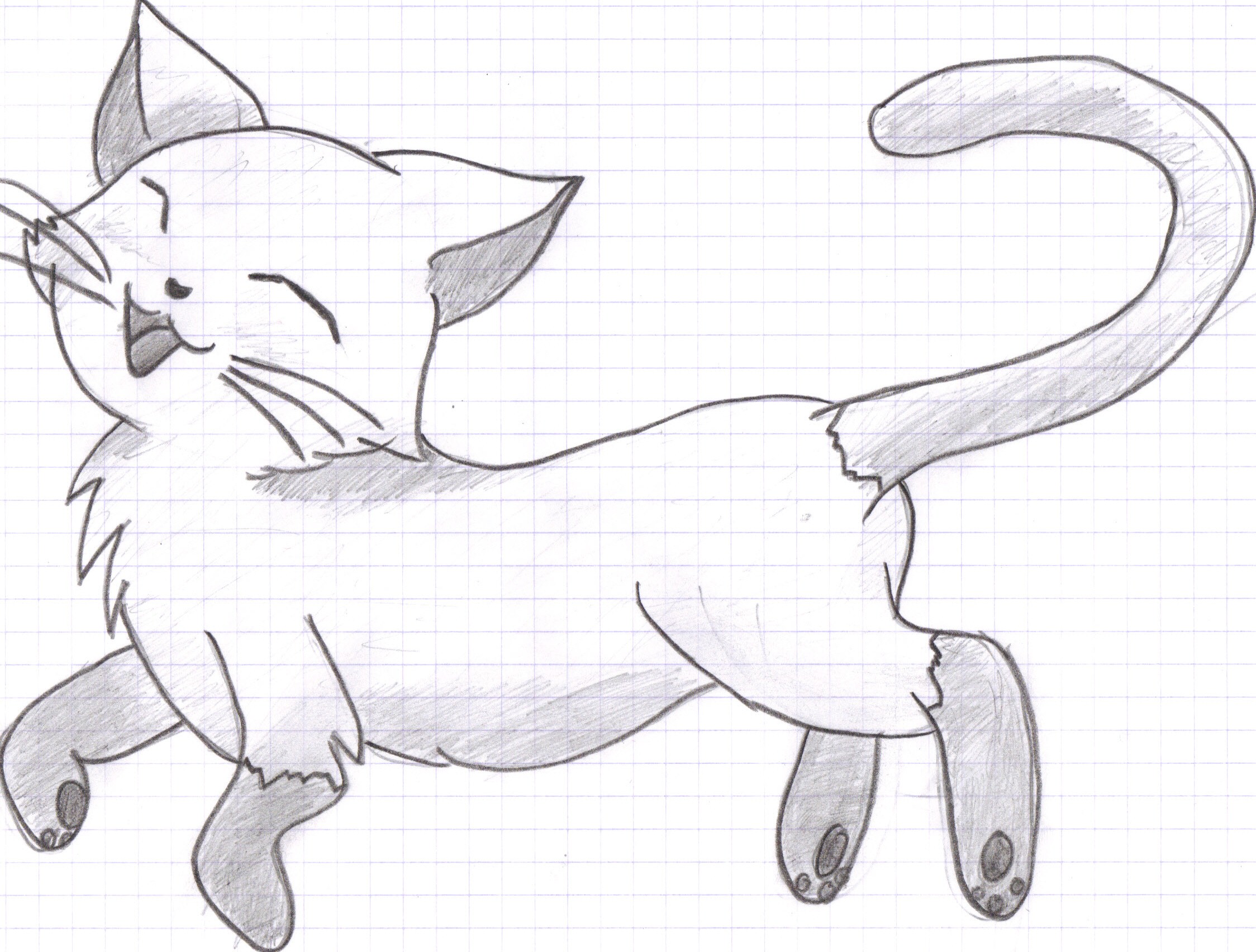 Easy To Draw Cat  Step By Step  Cool Drawing Idea