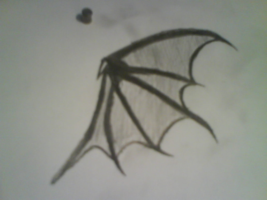 Demon Wing Drawing Creative Art
