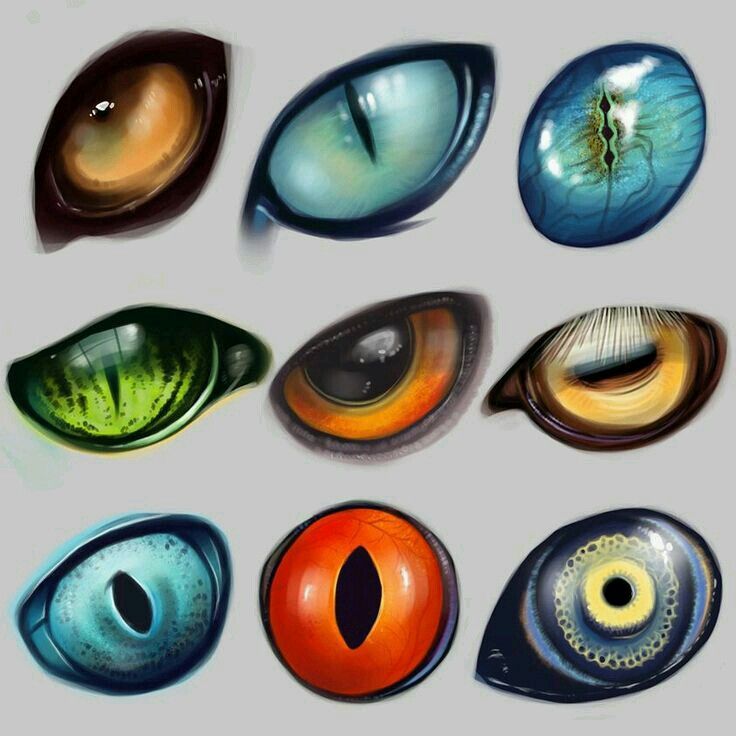 Anthro Dragon Eye Close Up  Anime  Free Transparent PNG Clipart Images  Download