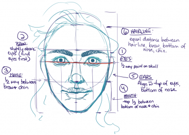 Face Proportions Drawing Art - Drawing Skill