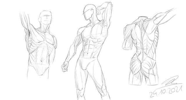 The EASIEST way to start Learning to Draw Anatomy  YouTube
