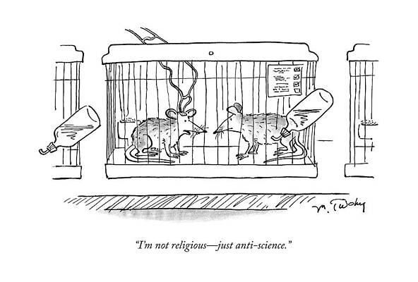 Animal Testing Drawing Art