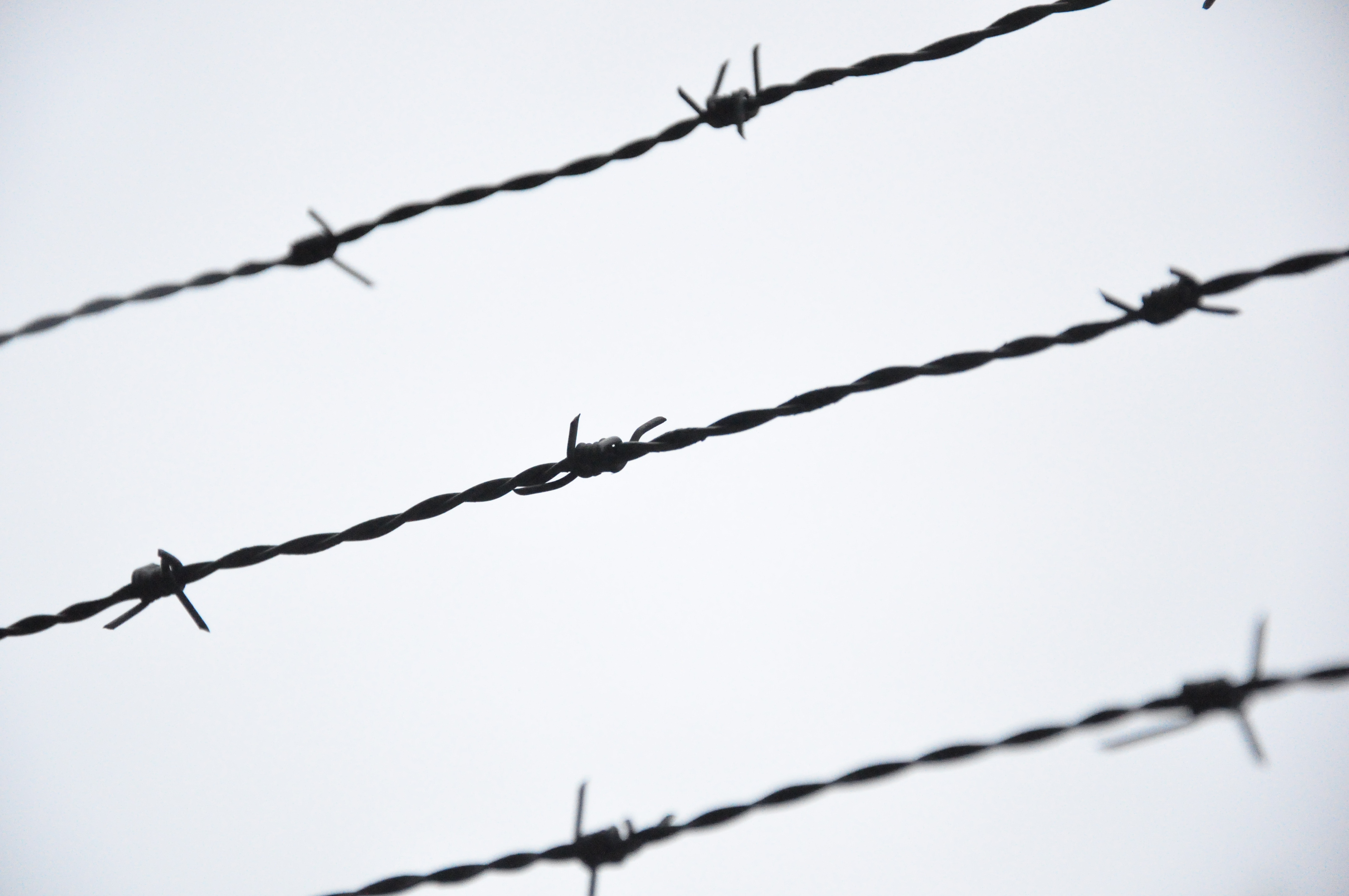 Barbed Wire Drawing Art