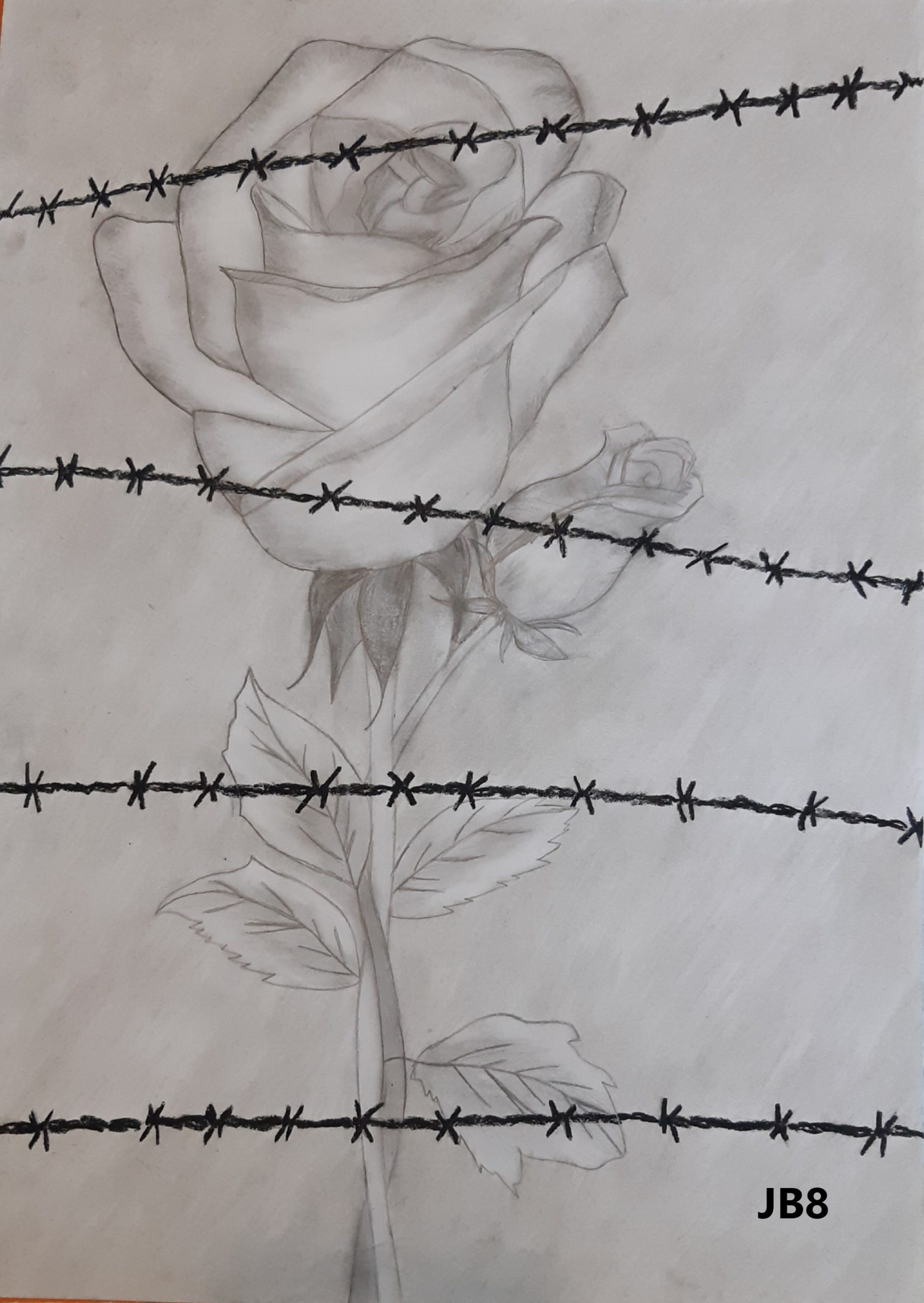 Barbed Wire Drawing Pics