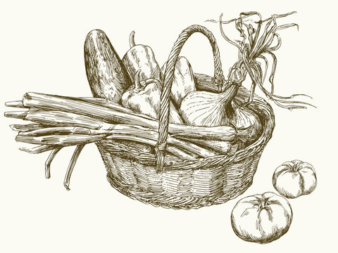 Basket Art Drawing