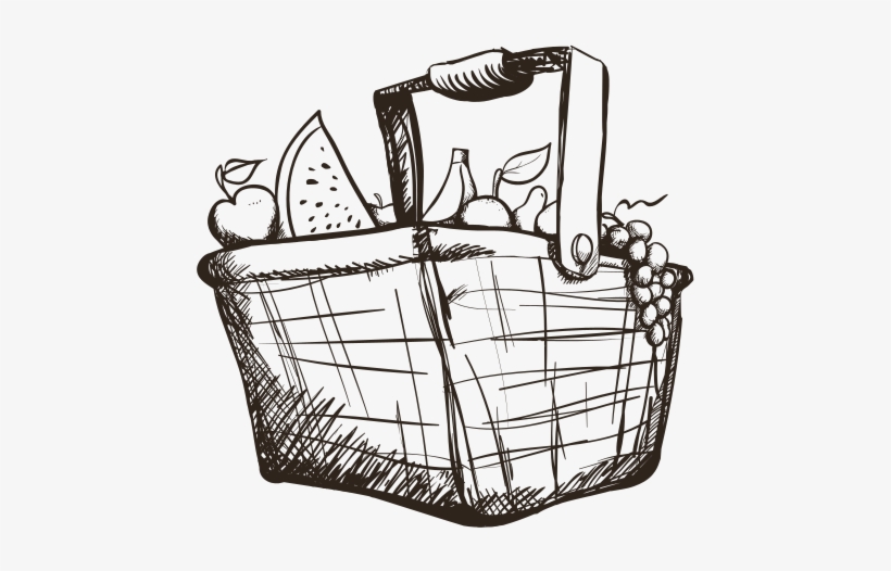 Basket Drawing Art