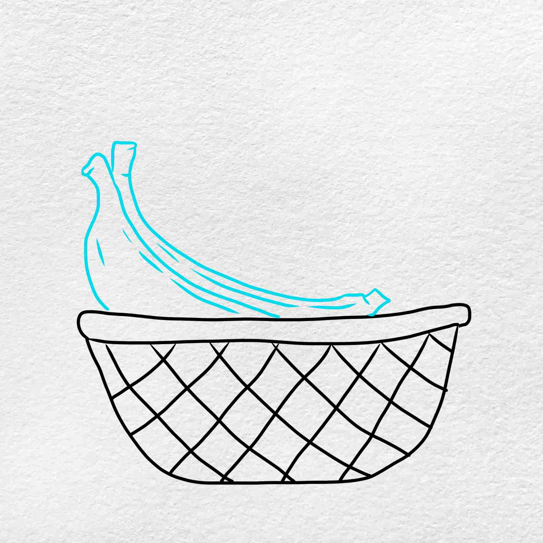 Basket Drawing Beautiful Art