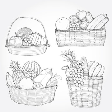 Basket Fruit Best Drawing