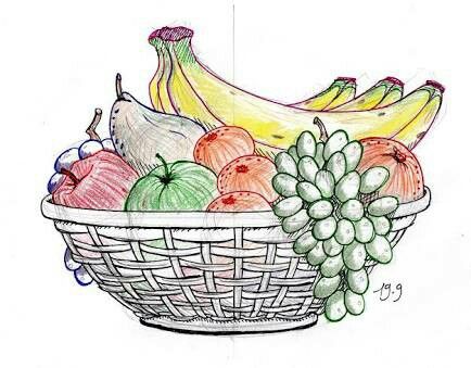 Basket Fruit Drawing Beautiful Art