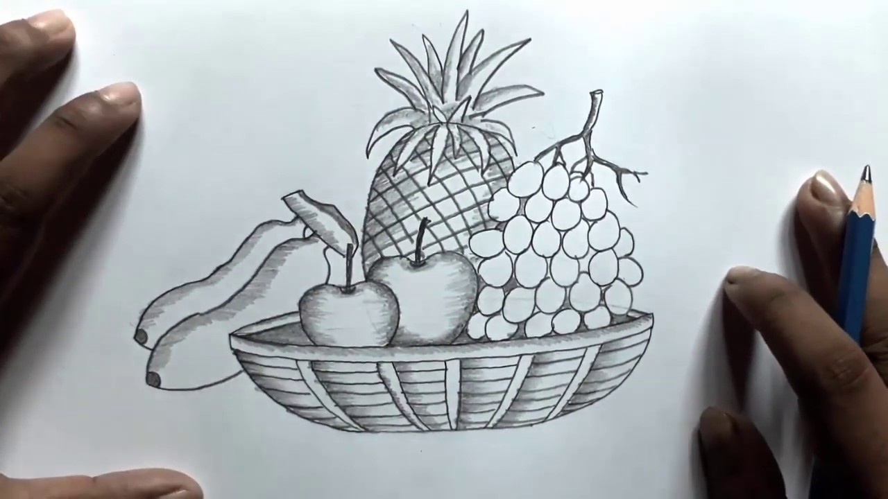 Basket Fruit Drawing Beautiful Image