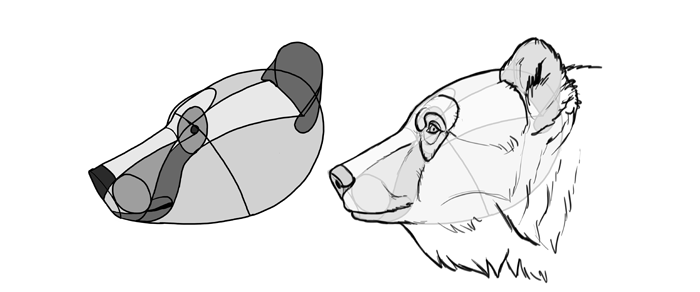 Bear Face Drawing Pictures