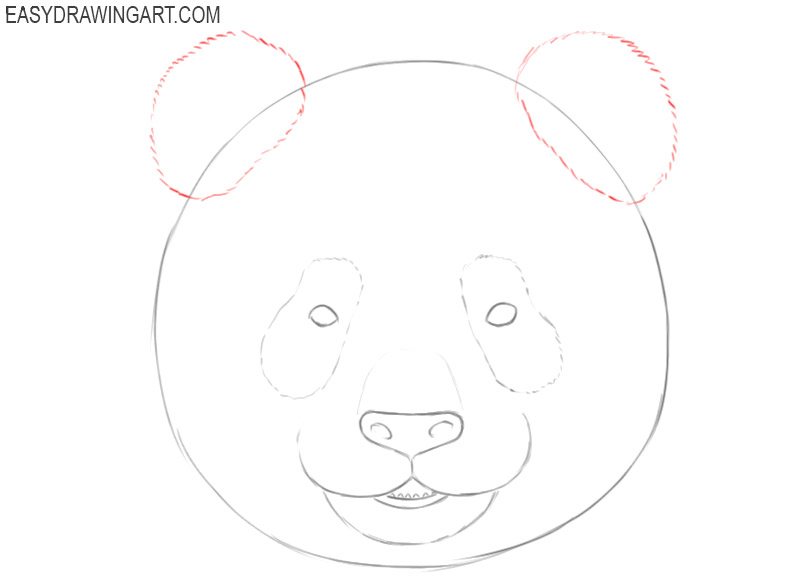 Bear Face Drawing Sketch