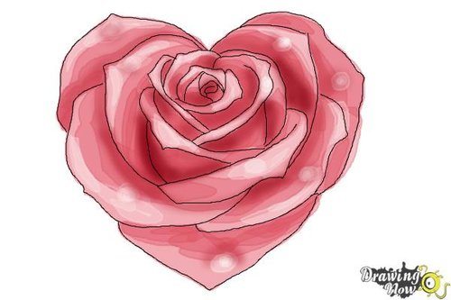 How to Draw a Rose  Artist Hue