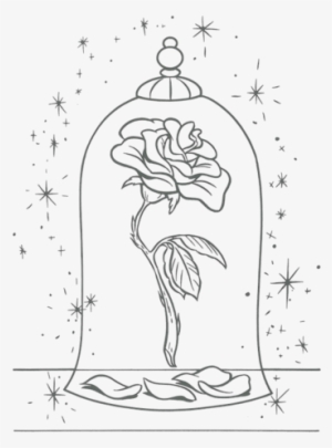 Beauty And The Beast Rose Drawing Images