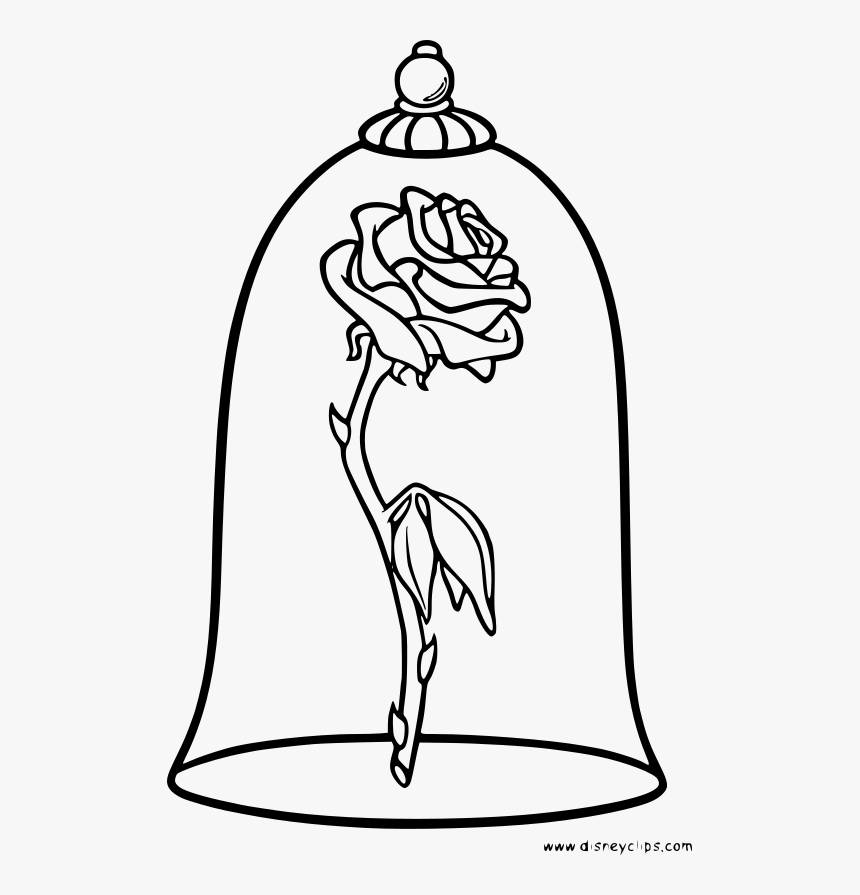 Beauty And The Beast Rose Drawing Pictures