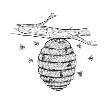 Beehive Drawing Art