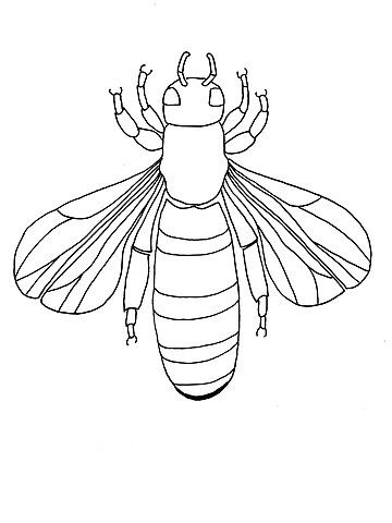 Beehive Drawing Picture