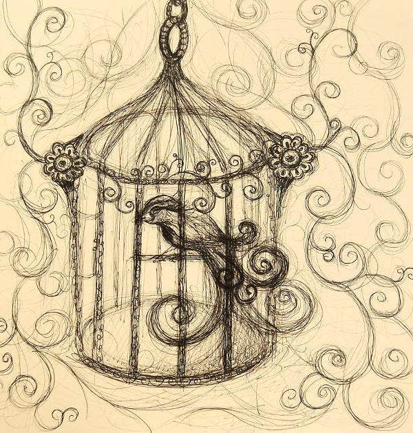 Bird Cage Drawing High-Quality