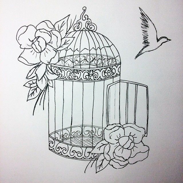 Bird Cage Drawing Image