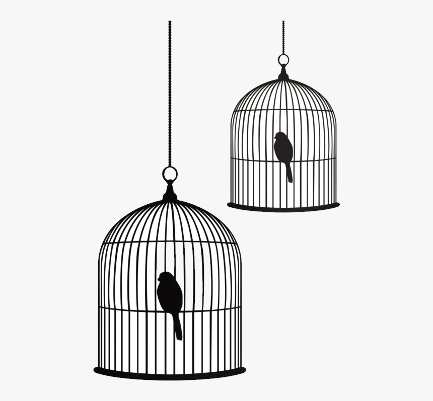 Bird Cage Drawing Images
