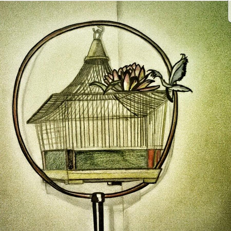 Bird Cage Drawing Realistic