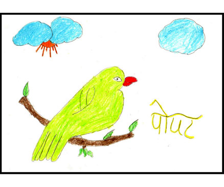 Bird Kids Drawing Image