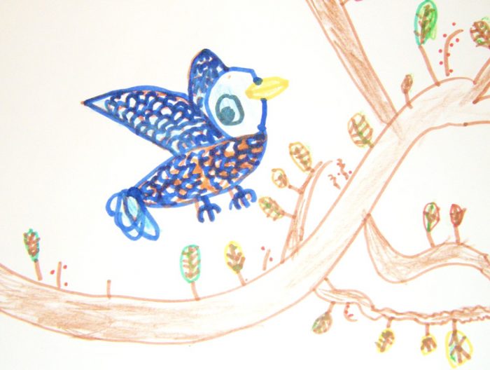 Bird Kids Drawing Photo