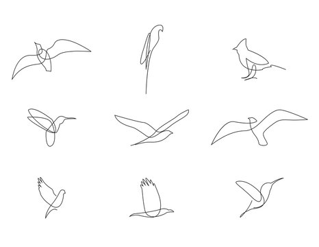 Bird Line Drawing Pic