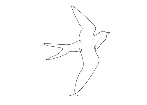 Bird Line Drawing Sketch