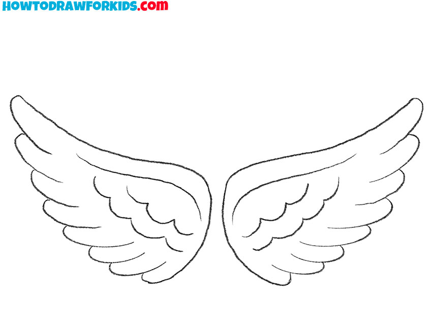 Bird Wing Best Drawing