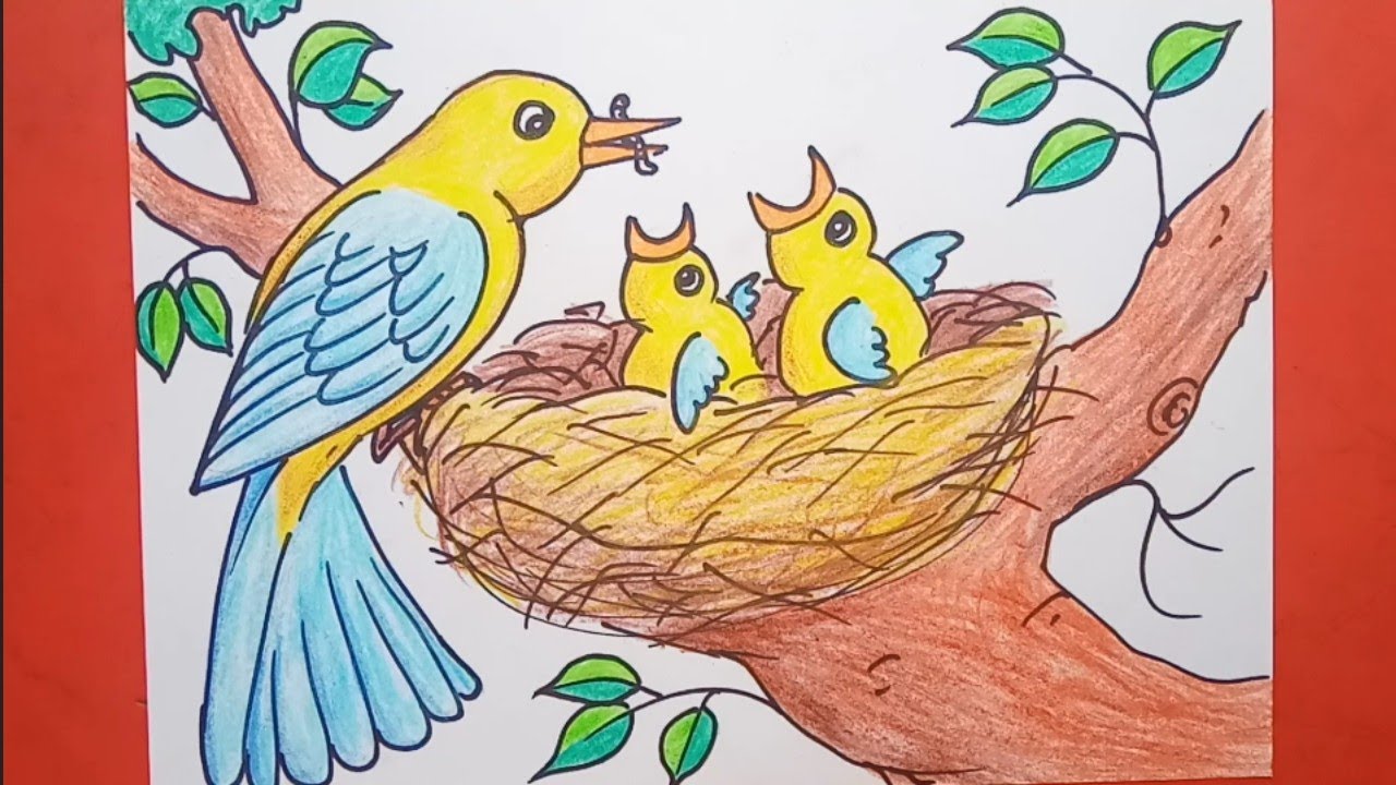 Bird in a Nest Art Drawing