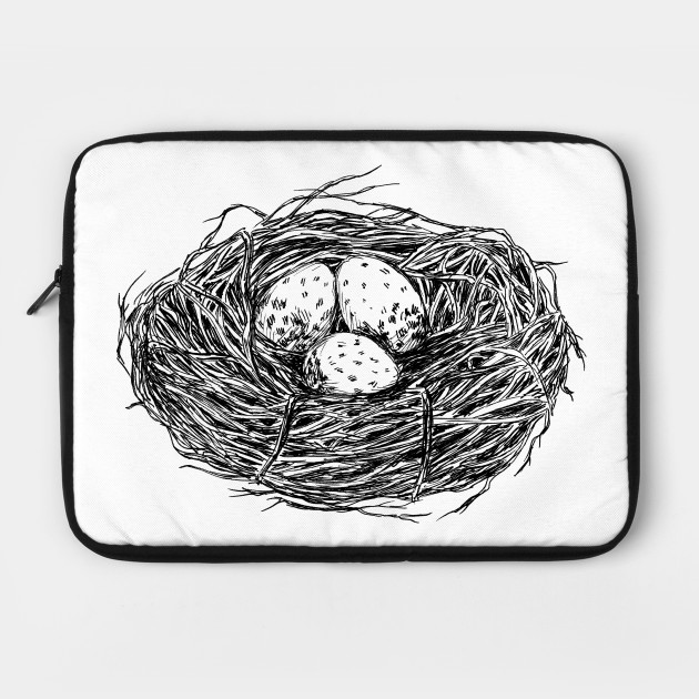 Bird in a Nest Drawing Amazing