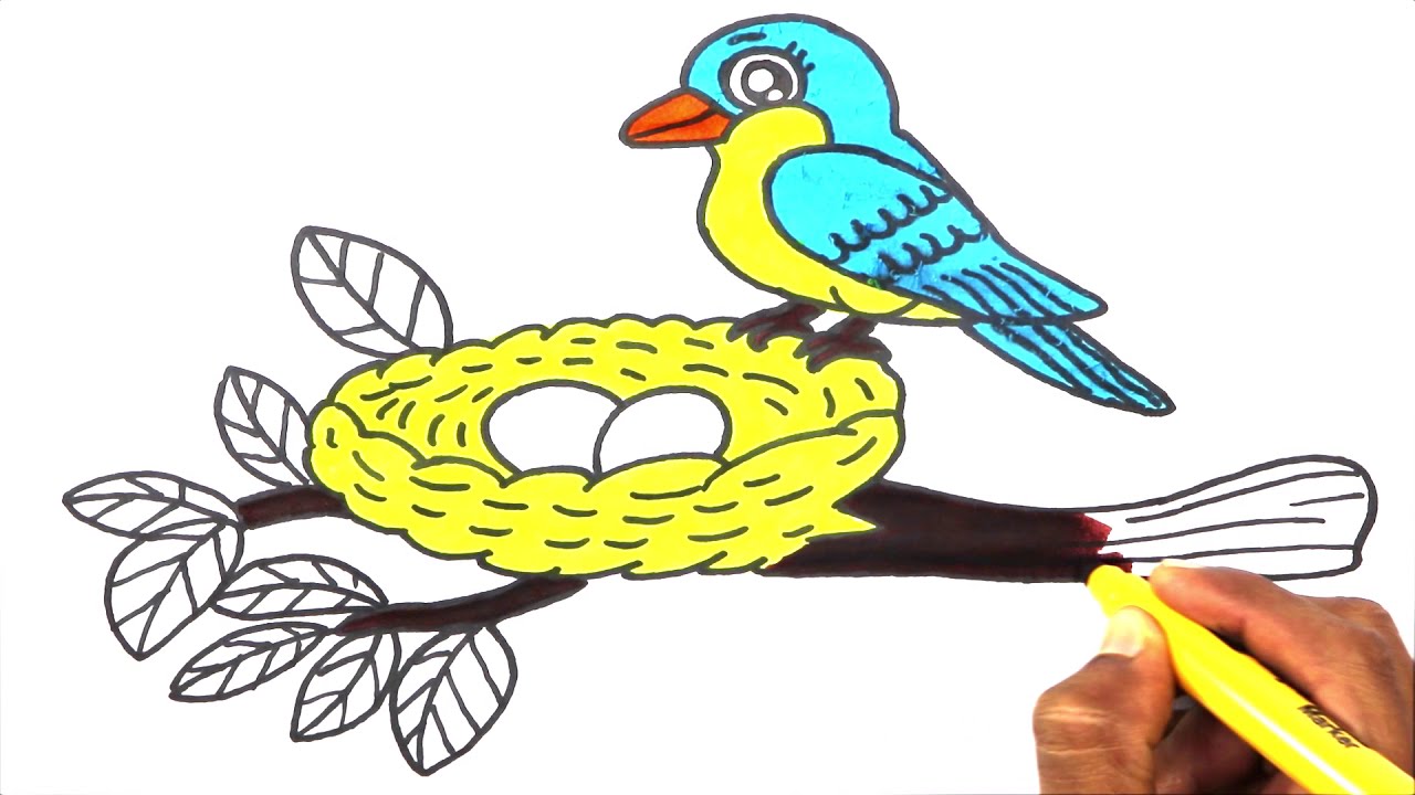 Bird in a Nest Drawing Art