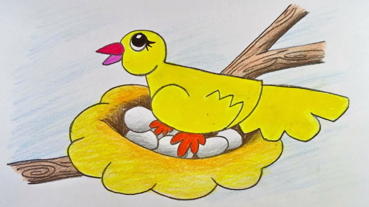 Bird in a Nest Drawing Creative Art