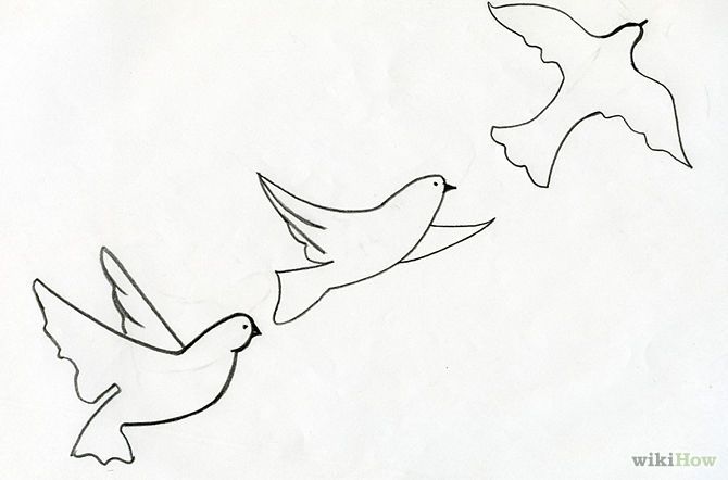 Birds Flying Drawing Image