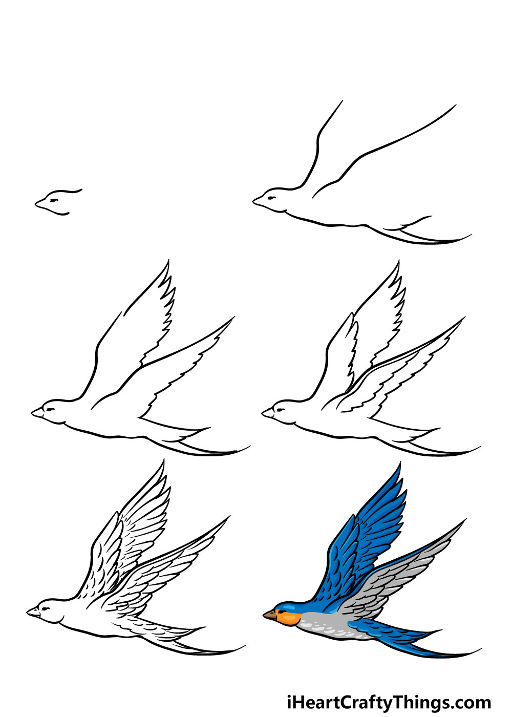 Birds Flying Drawing Pics