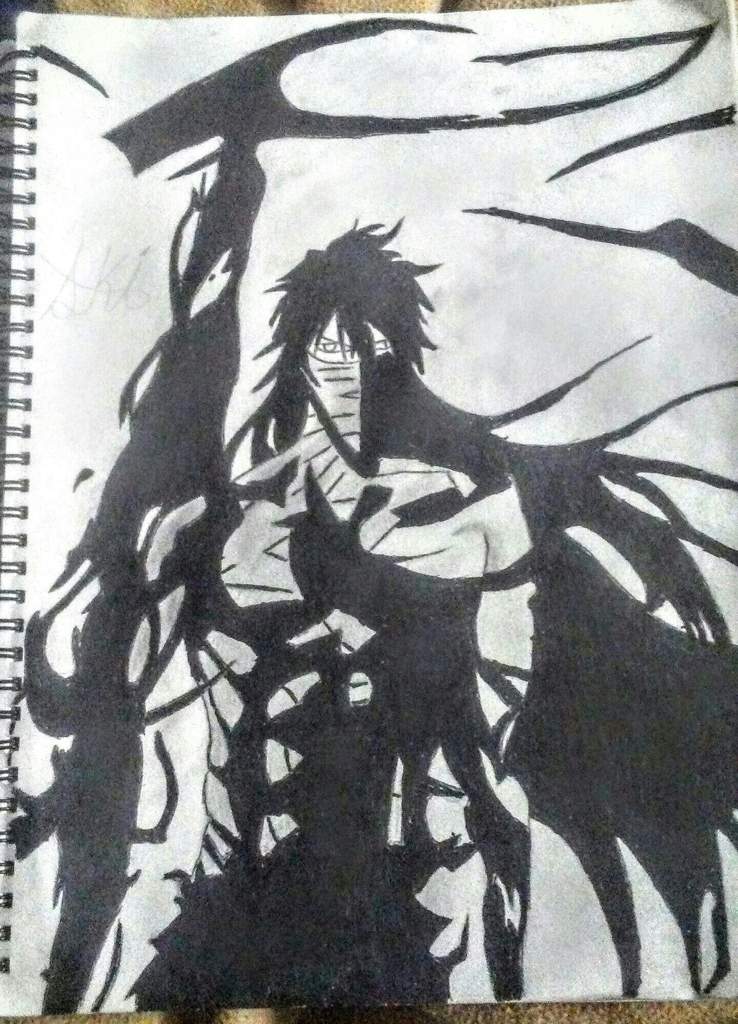Bleach Drawing Picture