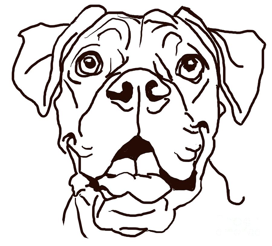 Boxer Dog Drawing Art