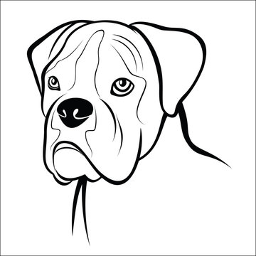 Boxer Dog Drawing Beautiful Image