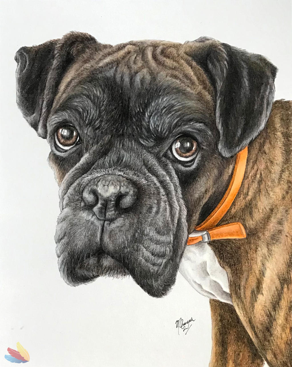 Boxer Dog Drawing Creative Art