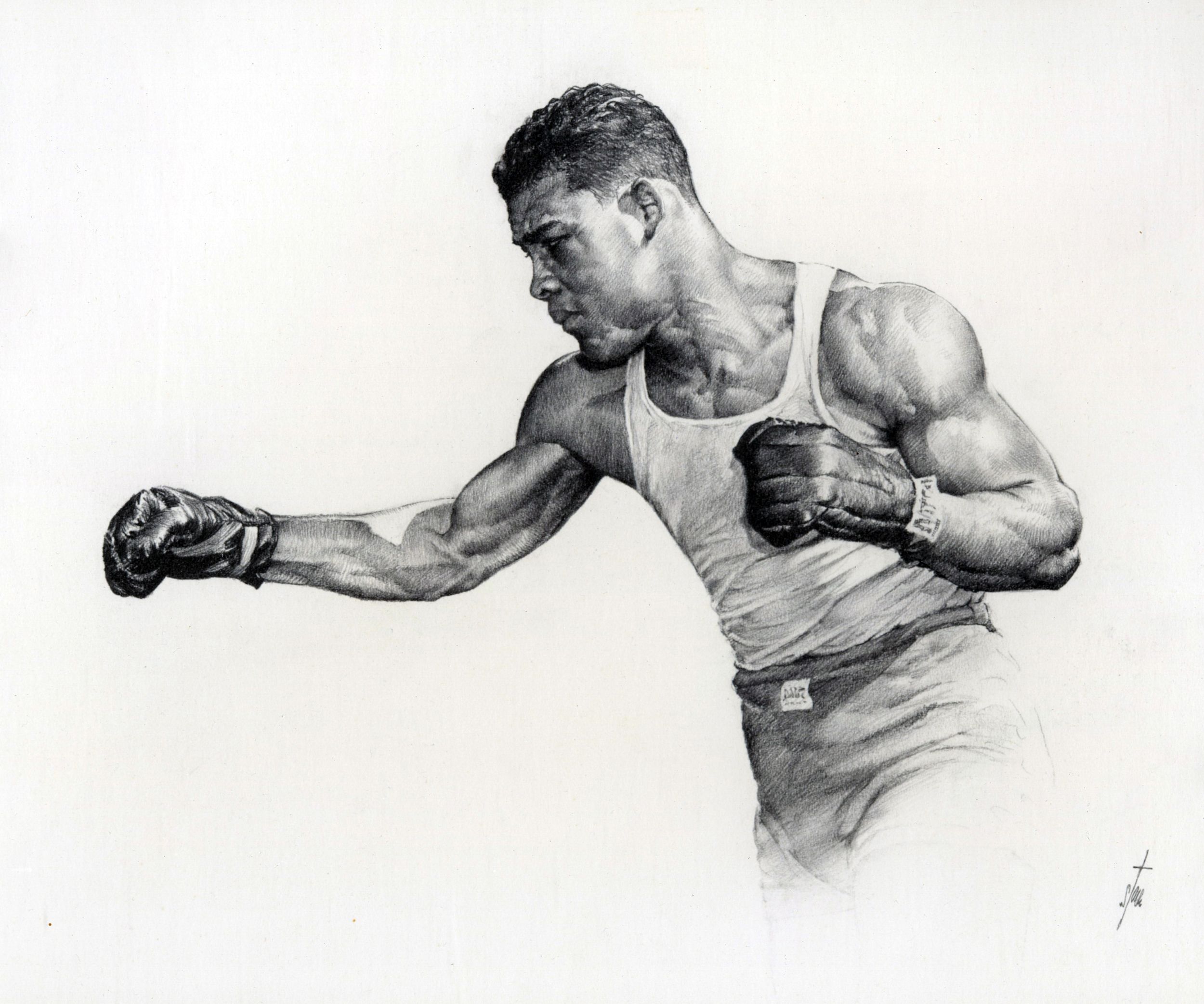 Boxing Drawing Amazing