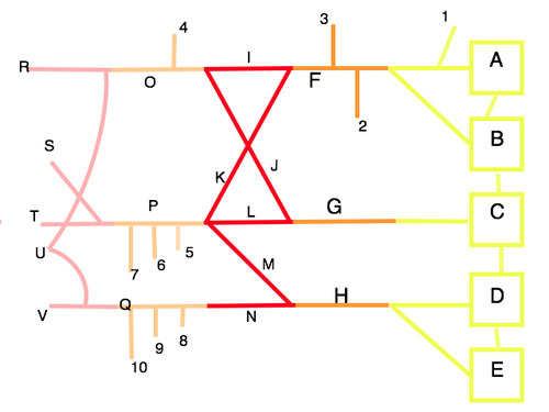 Brachial Plexus Drawing Picture